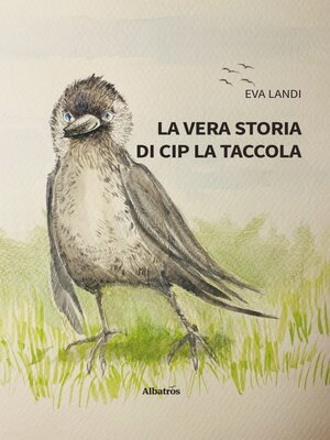 cover image of La vera storia di Cip la taccola